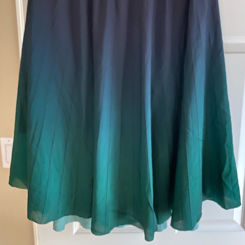 Gorgeous Ombré skirt